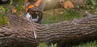 Best Lawn Watering Services  in Butler, MO